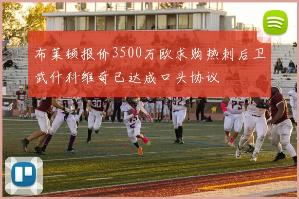 布莱顿报价3500万欧求购热刺后卫武什科维奇已达成口头协议